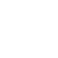 PERSIMMON-ICON